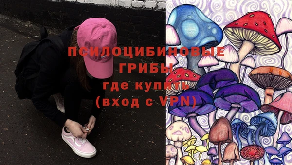 mdpv Алексин