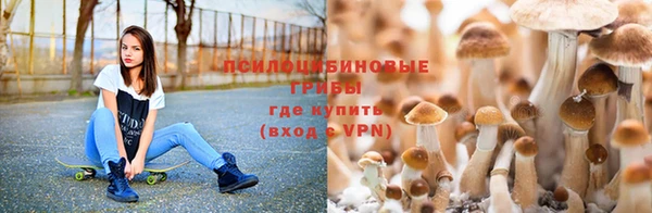 кокаин Алзамай